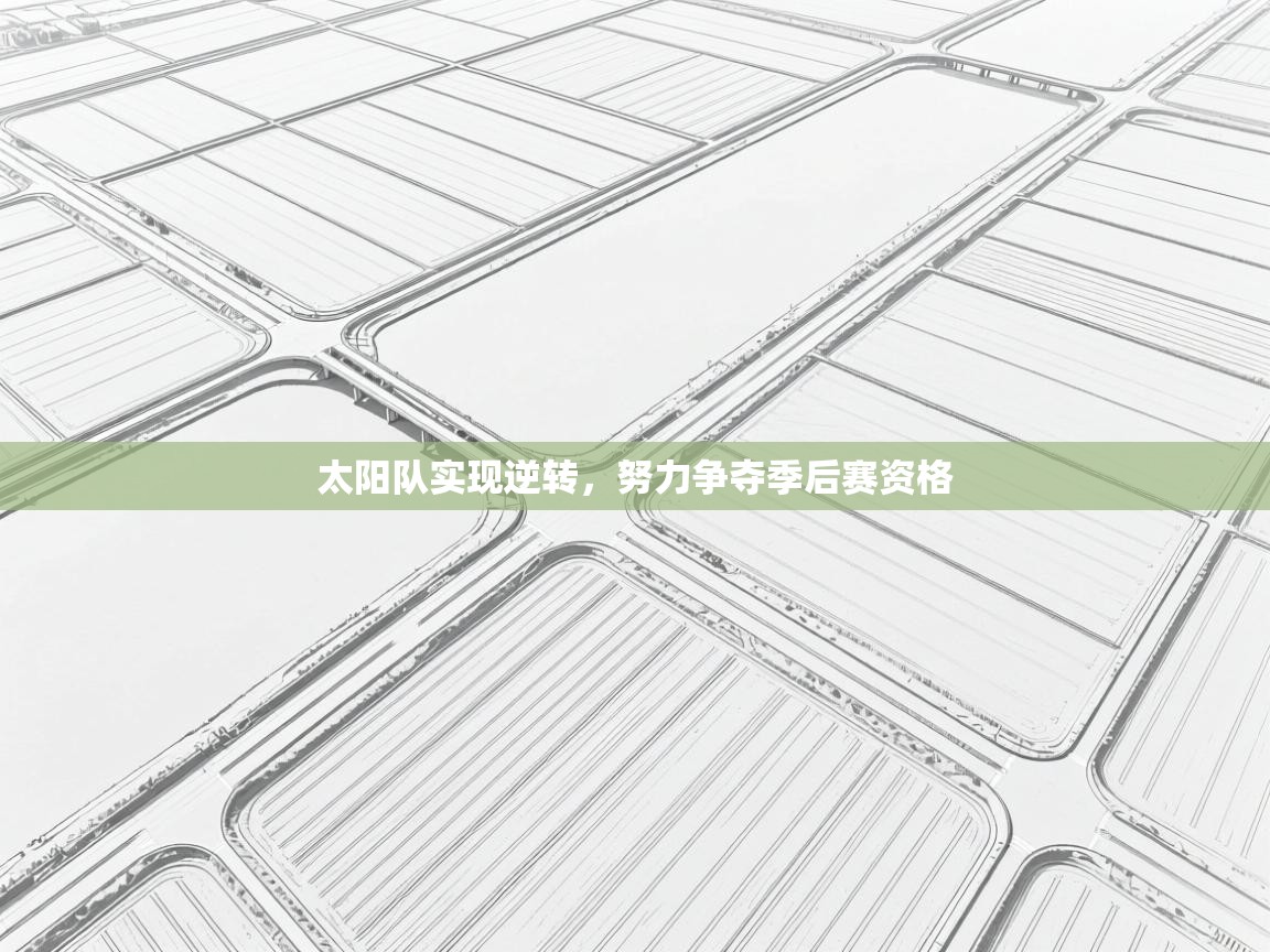 太阳队实现逆转,努力争夺季后赛资格 第2张