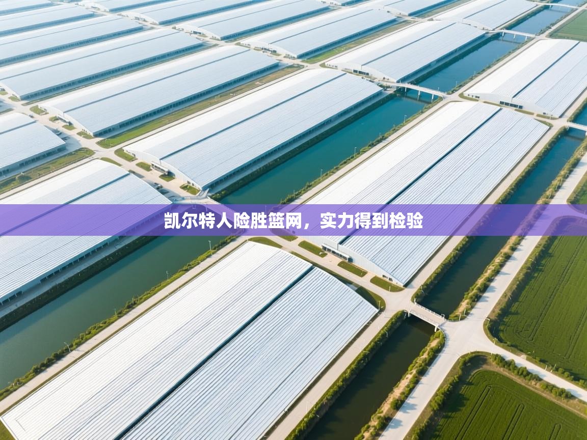 凯尔特人险胜篮网，实力得到检验  第1张