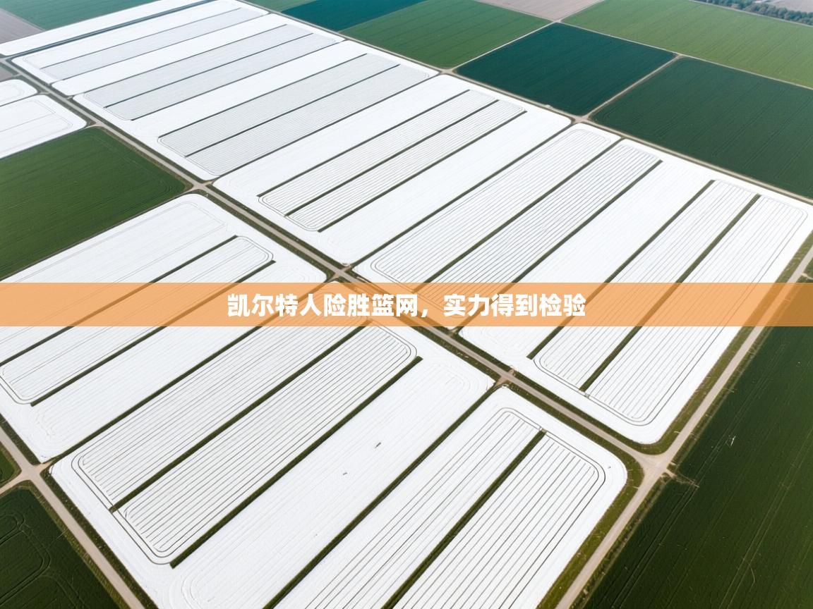 凯尔特人险胜篮网，实力得到检验  第2张